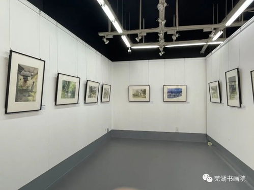 春游江淮请您来丨芜湖市美术馆书画院举办李为众水彩画作品展